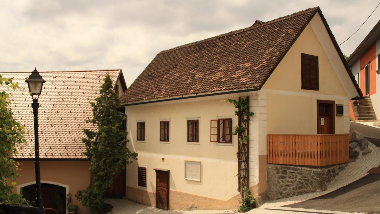 Guesthouse Bajc Vrhnika Buitenkant foto